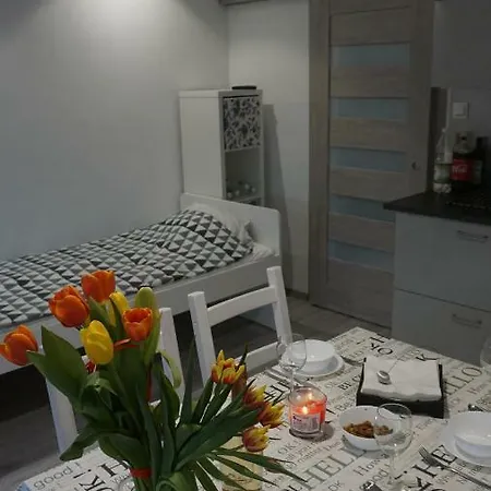 Apartament For You Appartement *